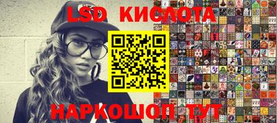 гидра Кандалакша