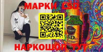 тгк Камышлов