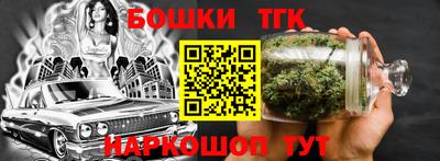 тгк Камышлов