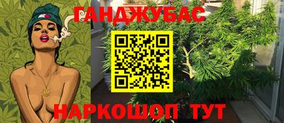 гидра Кандалакша
