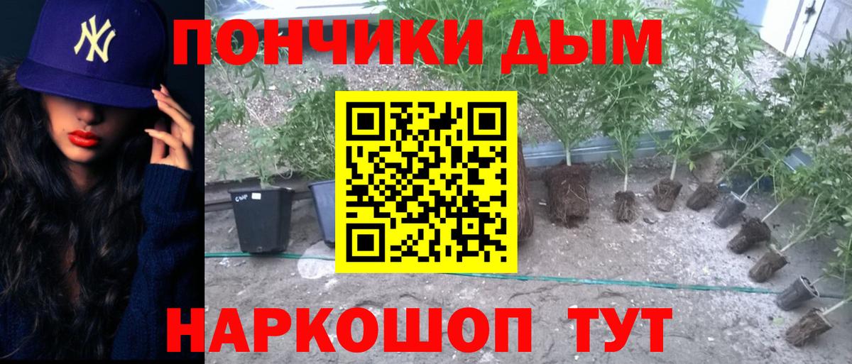 Конопля THC 21%  Шишки марихуана SATIVA & INDICA  Качканар  Бошки Шишки план  Бошки марихуана сатива  Вход с VPN 